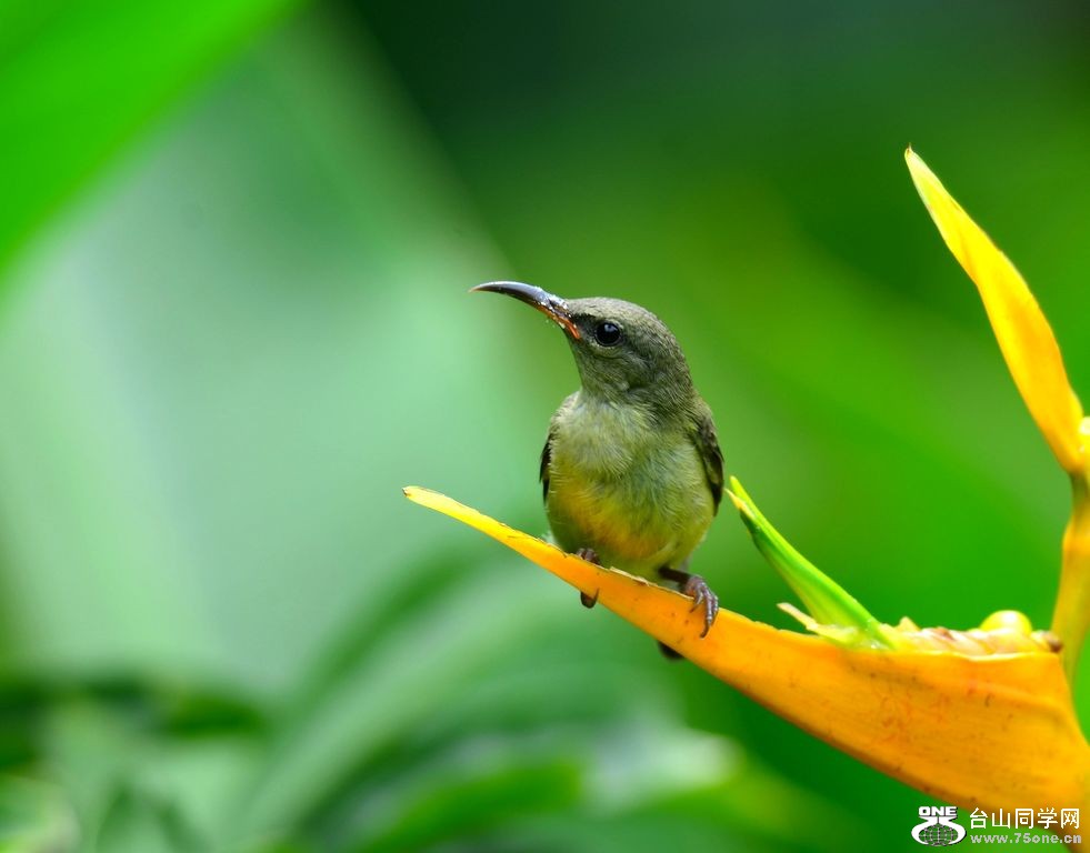 4.22��Ƭ 106.JPG