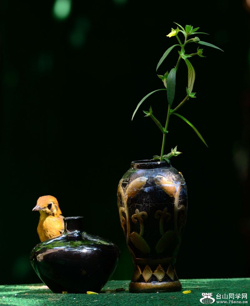 DSC_5731.JPG