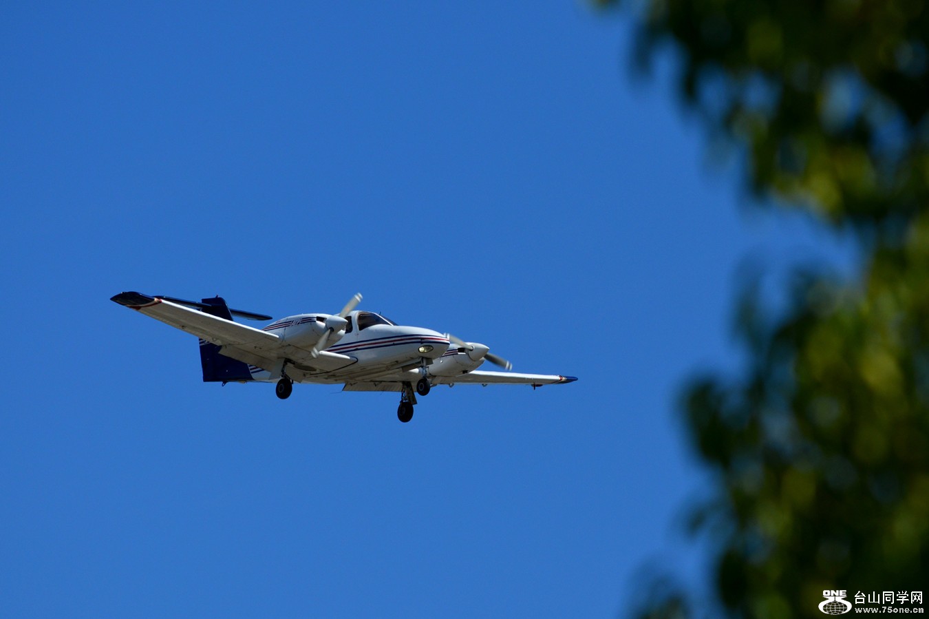DSC_0061_02.jpg