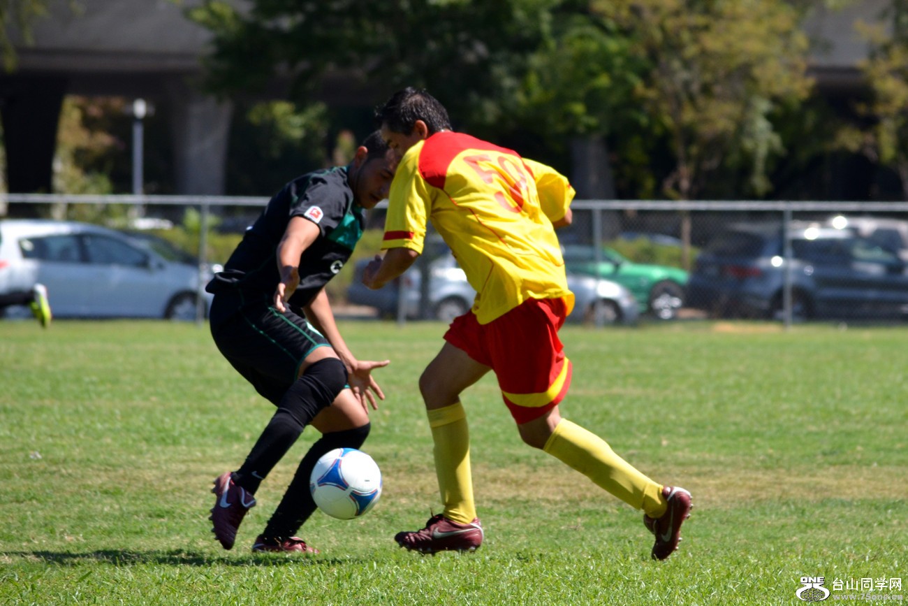 DSC_0437_16.jpg