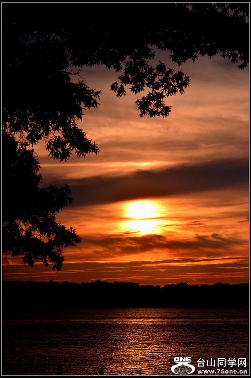 DSC_4690.jpg
