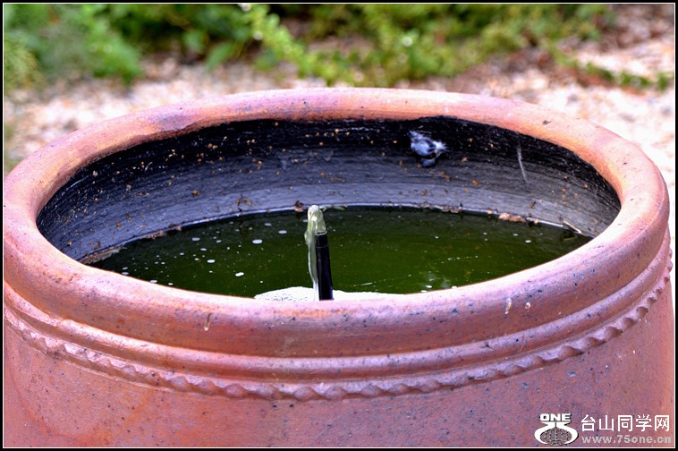 DSC_4414.jpg