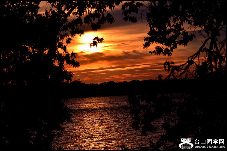 DSC_4691.jpg
