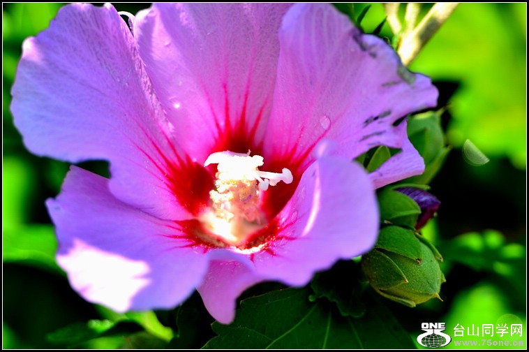 DSC_4043.jpg