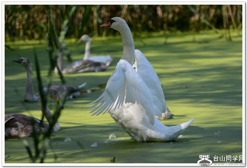 nEO_IMG_DSC_5179.jpg