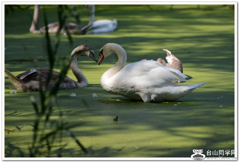 nEO_IMG_DSC_5182.jpg