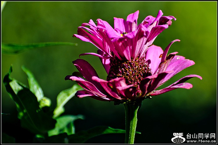 DSC_0876.jpg