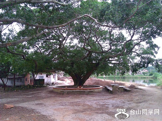 WP_000625.jpg