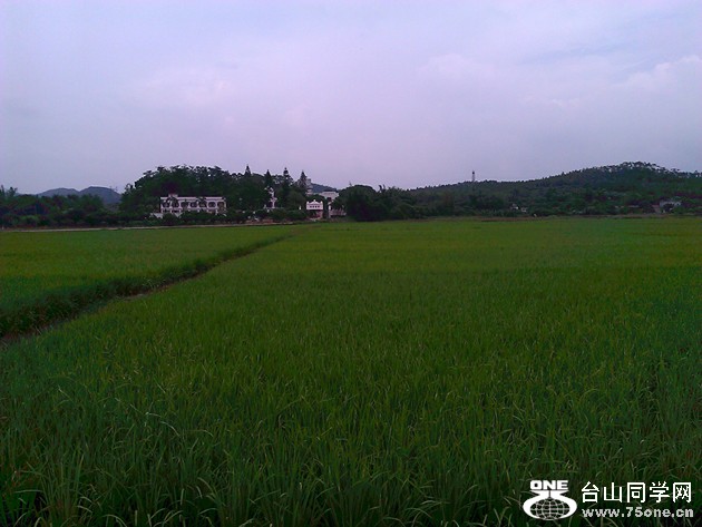 WP_000631.jpg