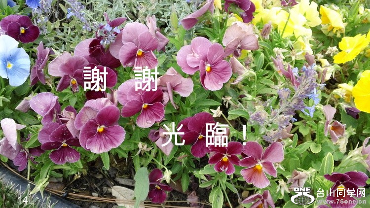 DSC00043.JPG