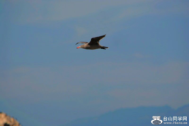 DSC_7855.JPG