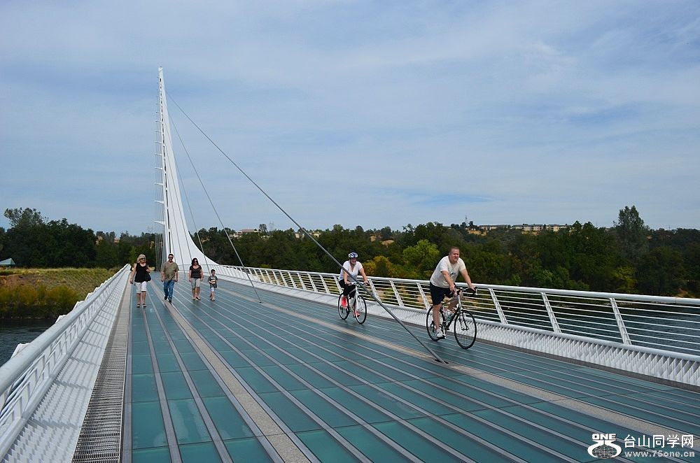 n115.jpg