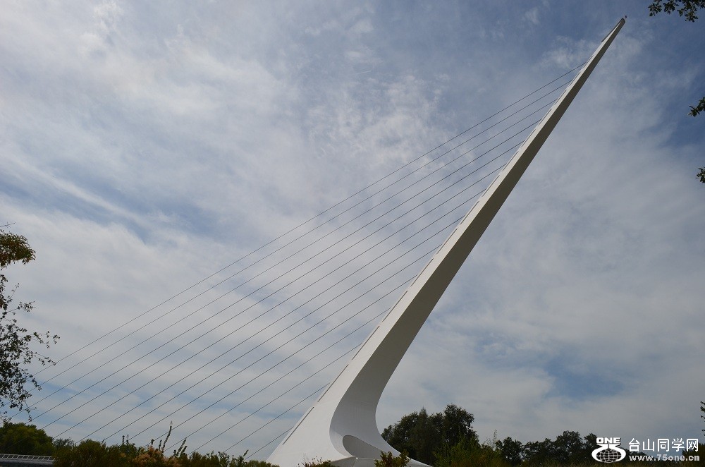 n124.jpg