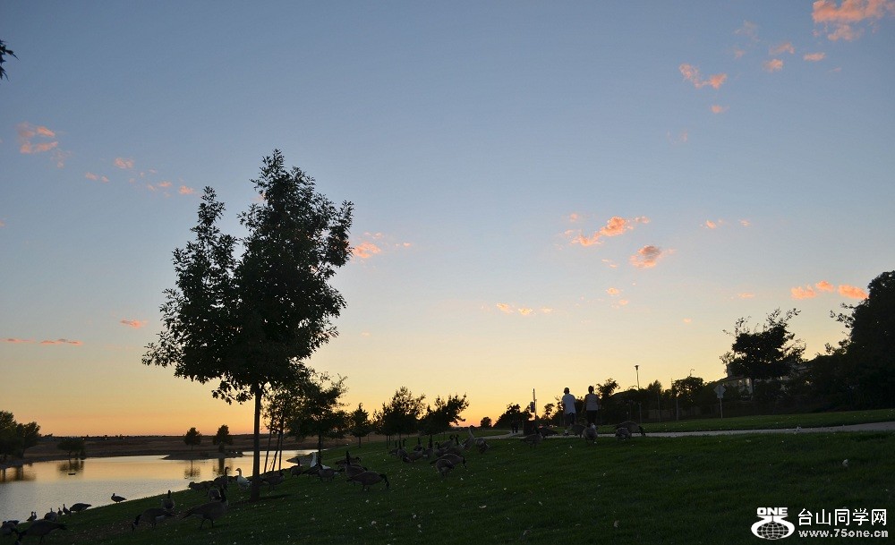 n033.jpg
