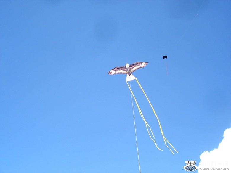 ᵺ~&nbsp;&nbsp;9.9.2012 041_.jpg