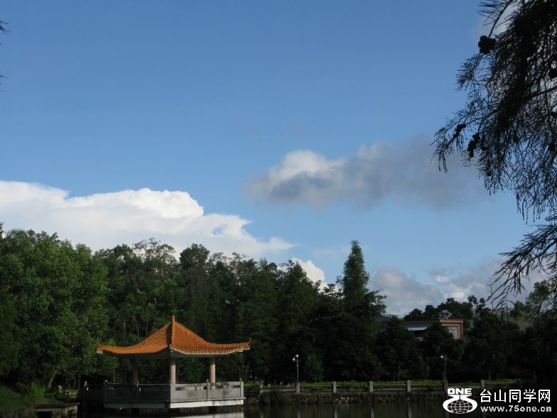 w109.jpg