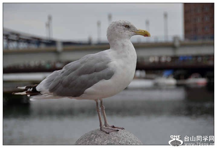 9.21.2012 Boston 493.jpg