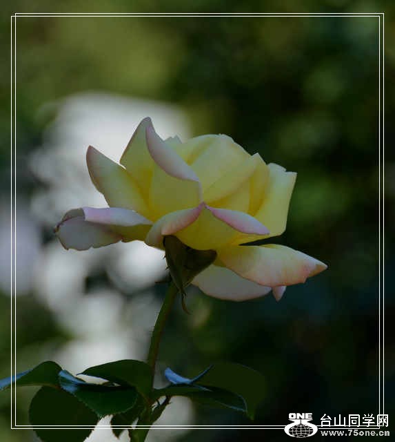 9.21.2012 Boston 616.jpg