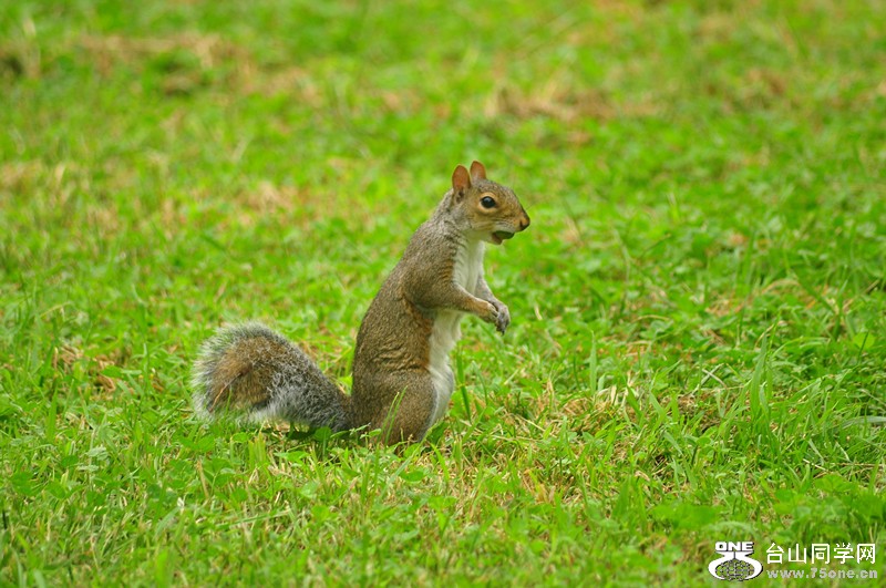 DSC_0265_.jpg