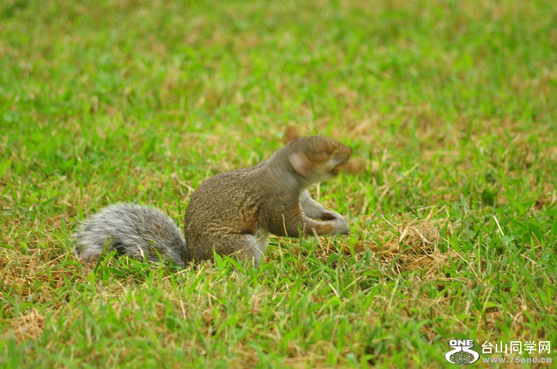 DSC_0270_.jpg