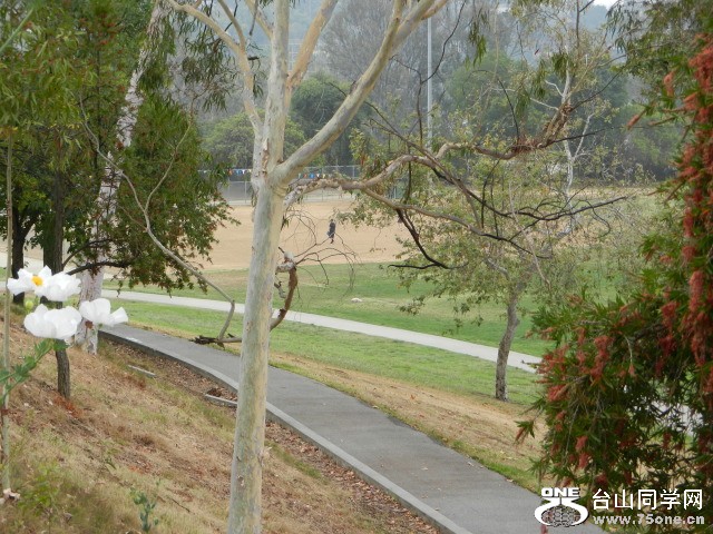 DSCN0561.JPG