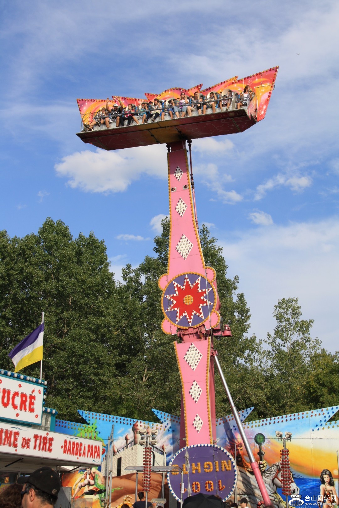 IMG_0103 (Large).JPG