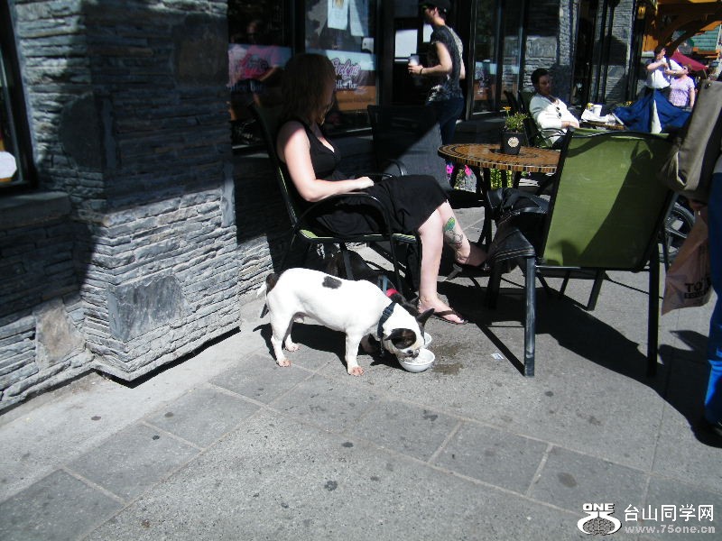 DSCF7220.JPG