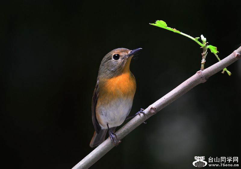 DSC_5613.JPG