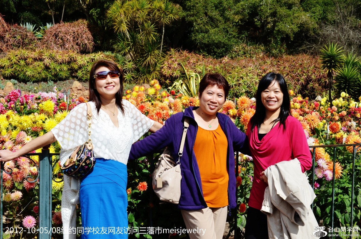 DSC_2559 (1200x795).jpg