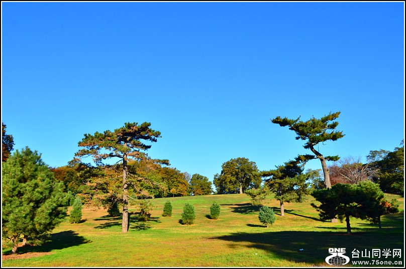 DSC_7975.jpg