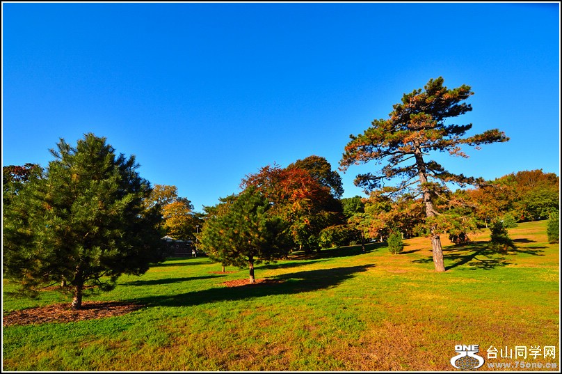 DSC_7986.jpg