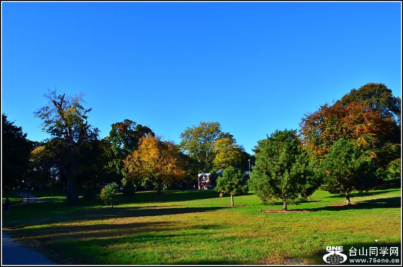 DSC_7974.jpg