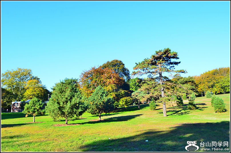 DSC_7973.jpg