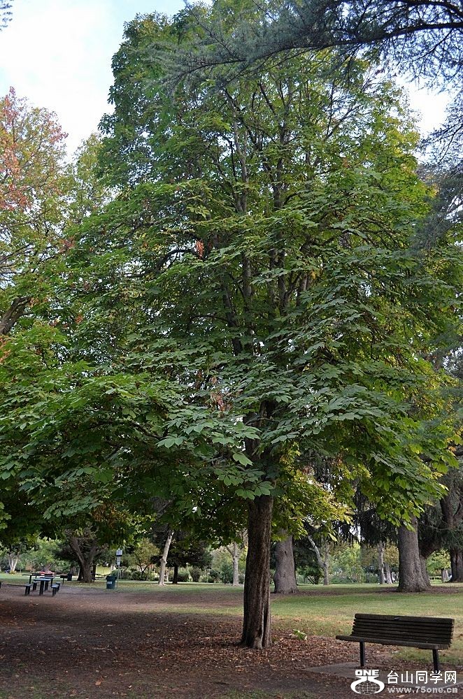 n049.jpg