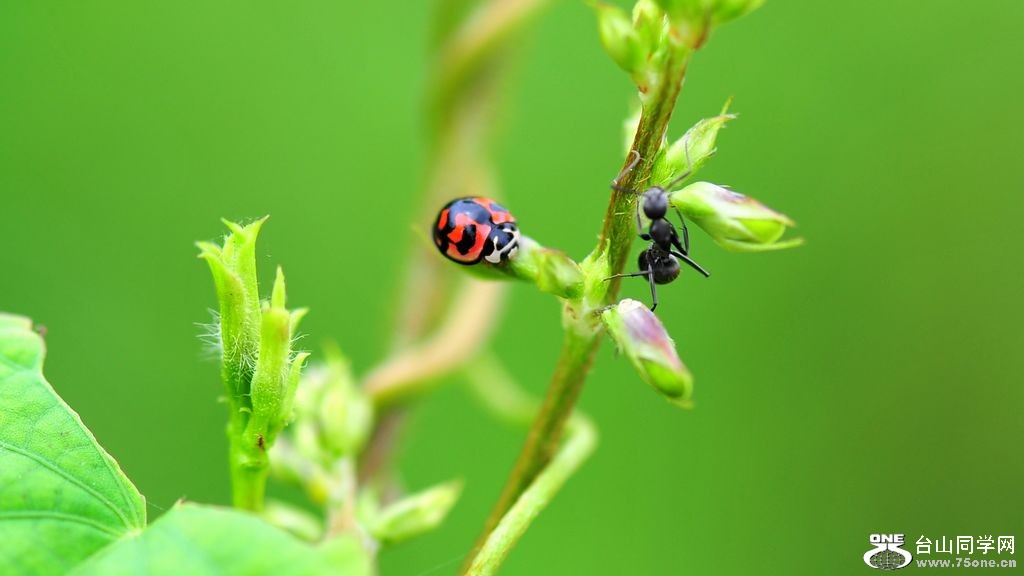 DSC_8691.jpg