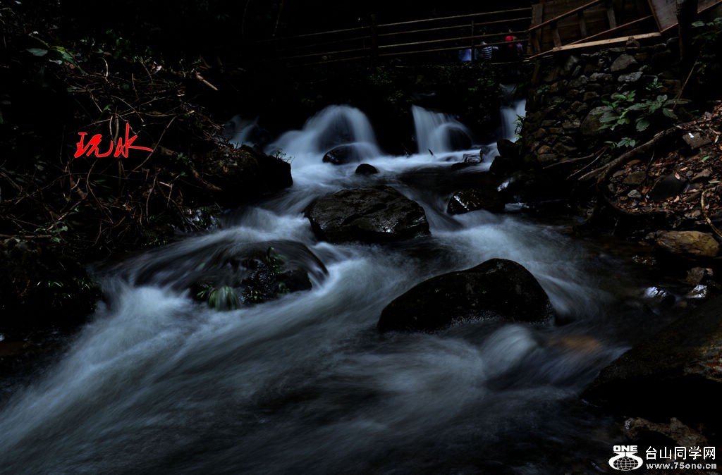DSC_0123_conew1.jpg