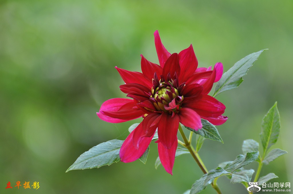 DSC_3042.JPG