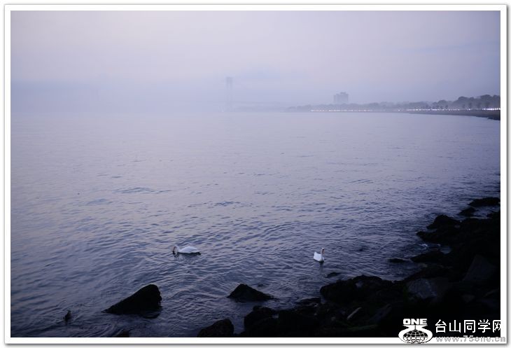 nEO_IMG_DSC_7325.jpg