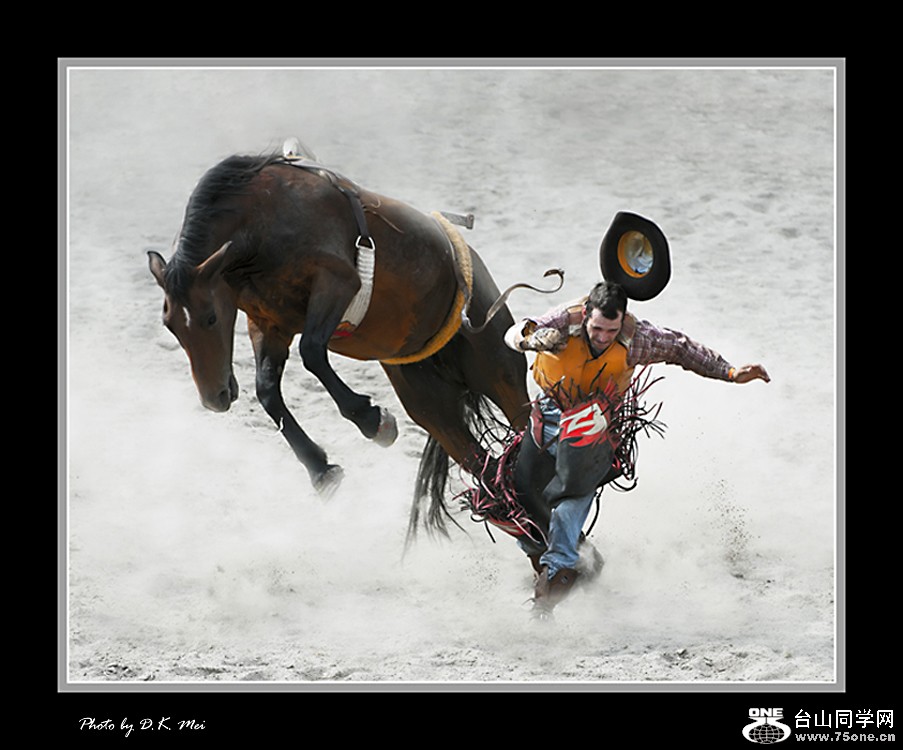 DSC_5515C.jpg