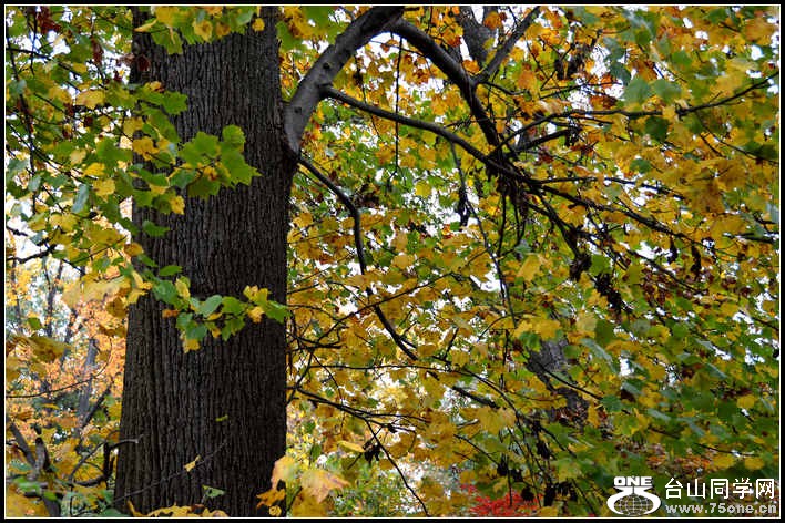 10.17.2012 Fall 392.jpg