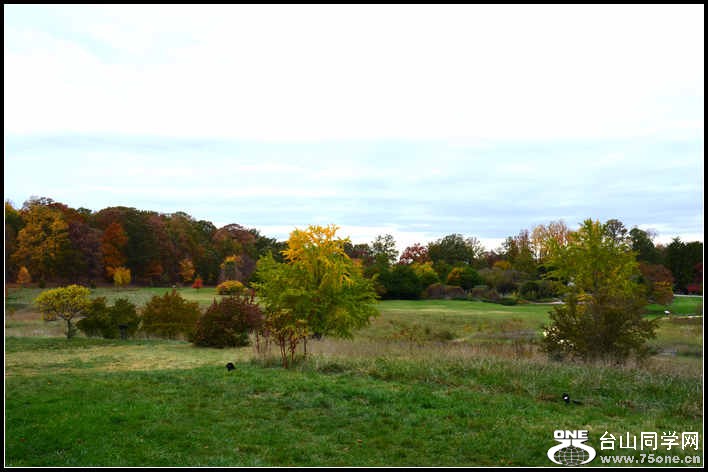 10.17.2012 Fall 334.jpg