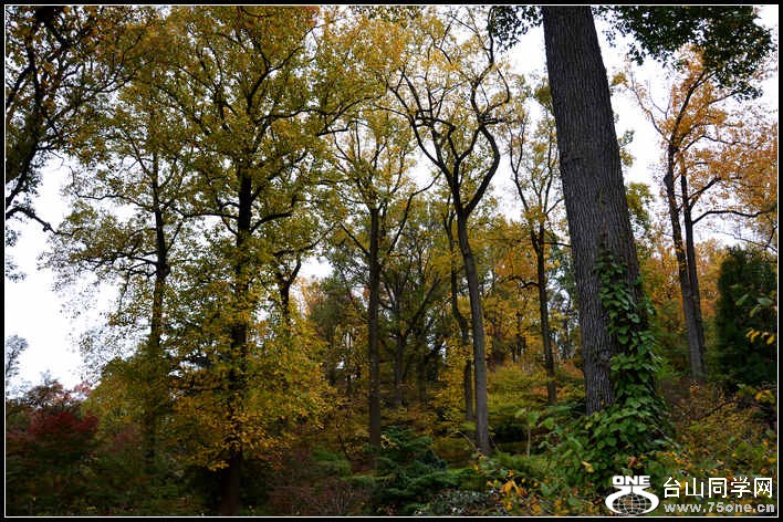 10.17.2012 Fall 384.jpg