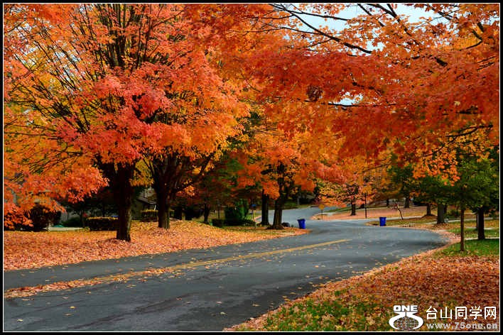 10.17.2012 Fall 188.jpg