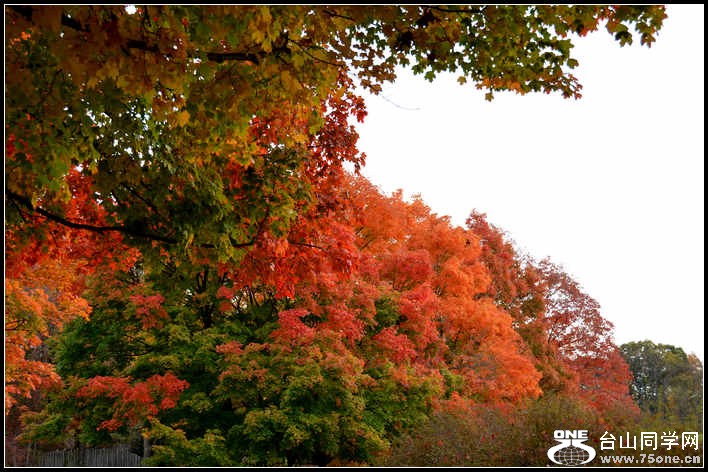 10.17.2012 Fall 145.jpg