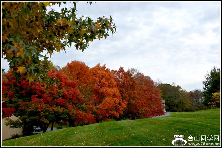 10.17.2012 Fall 151.jpg