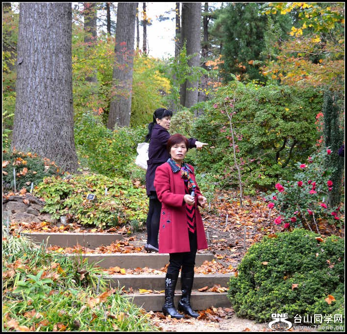 10.17.2012 Fall 394.jpg