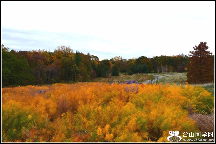 10.17.2012 Fall 330.jpg