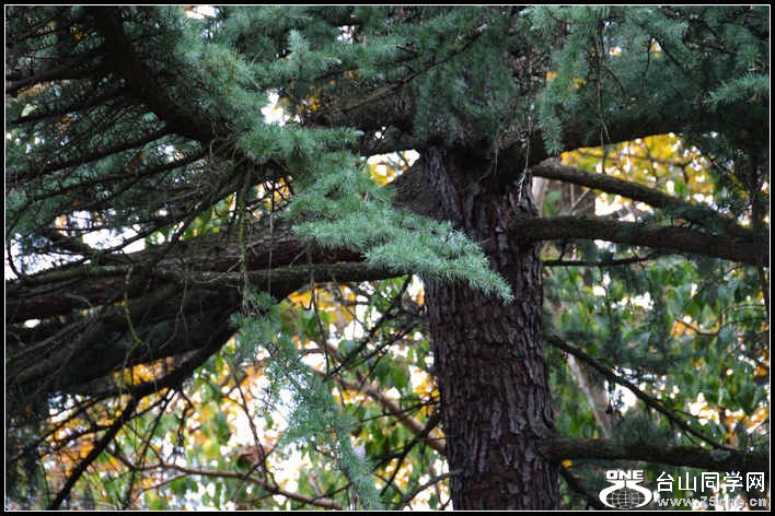 10.17.2012 Fall 393.jpg