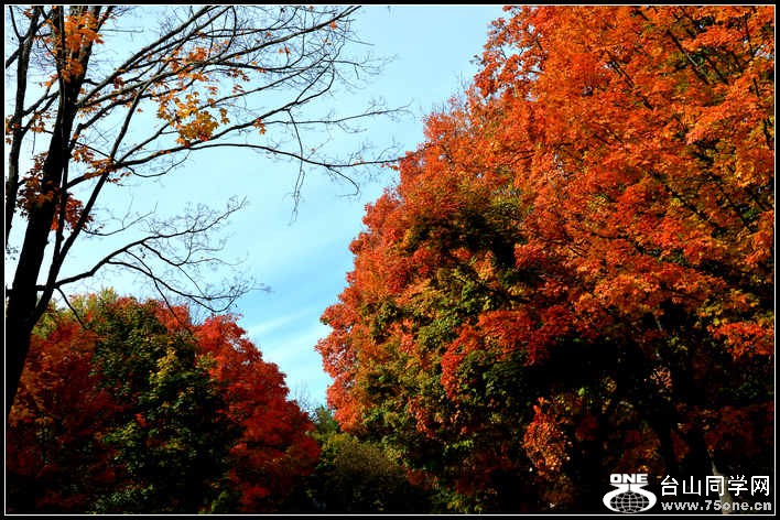 10.17.2012 Fall 010.jpg