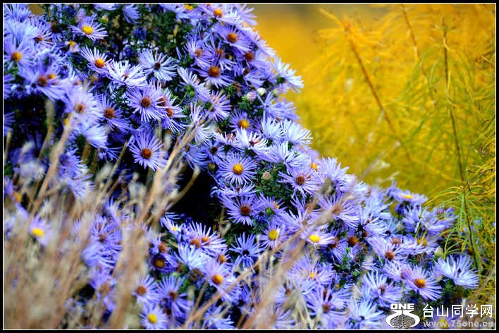 10.17.2012 Fall 322.jpg